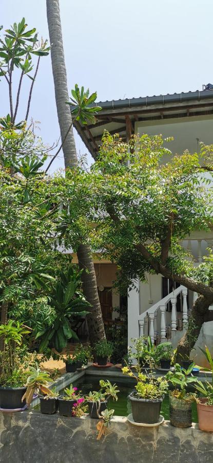 Blackstar Inn Trincomalee Exterior foto